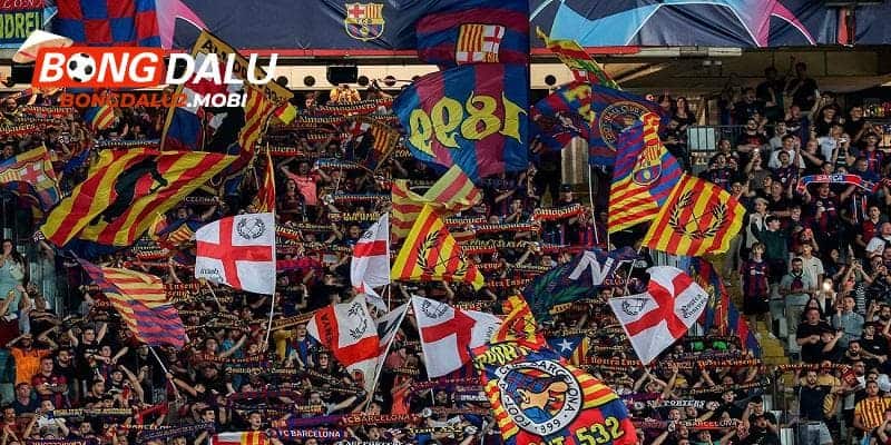 Tìm hiểu về nguồn gốc và ý nghĩa của Cules