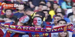 Cules thực thụ cần có kiến thức sâu rộng về bóng đá