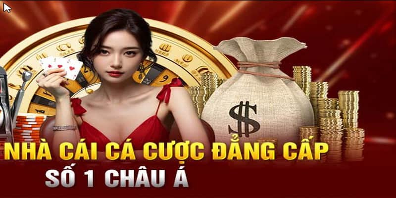 W88 là đơn vị cung cấp dịch vụ đặt cược online hàng đầu
